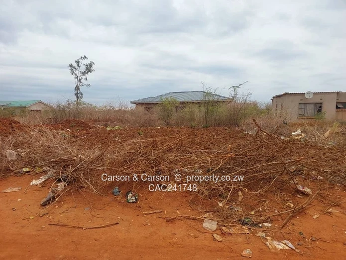 Good and Affordable  (Sole Mandate)