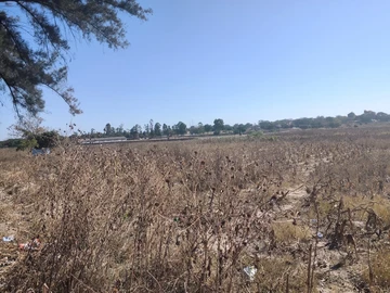 Commercial & Industrial Land