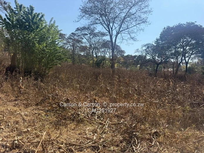 Residential stand for sale