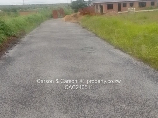 Immediately Available