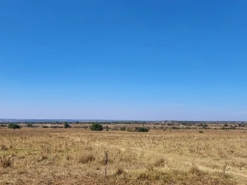 Farm & Agricultural Land