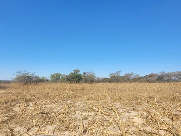 Farm & Agricultural Land