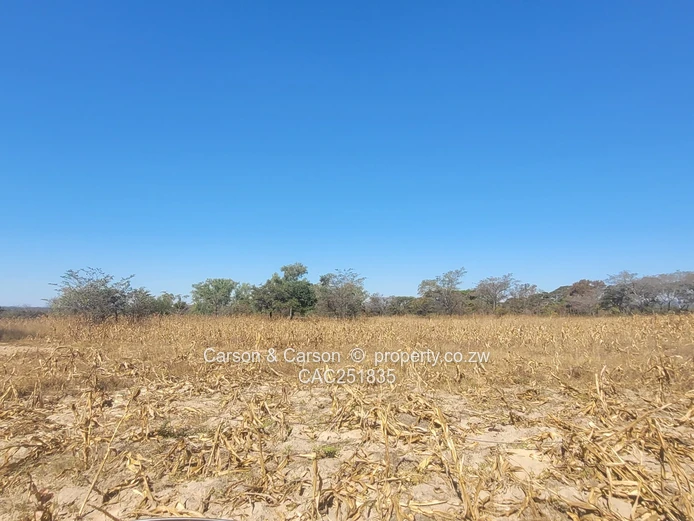 Chivhu, Mashonaland East, A Rare Opportunity for Commercial and or Lifestyle Farming