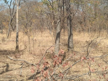 Farm & Agricultural Land