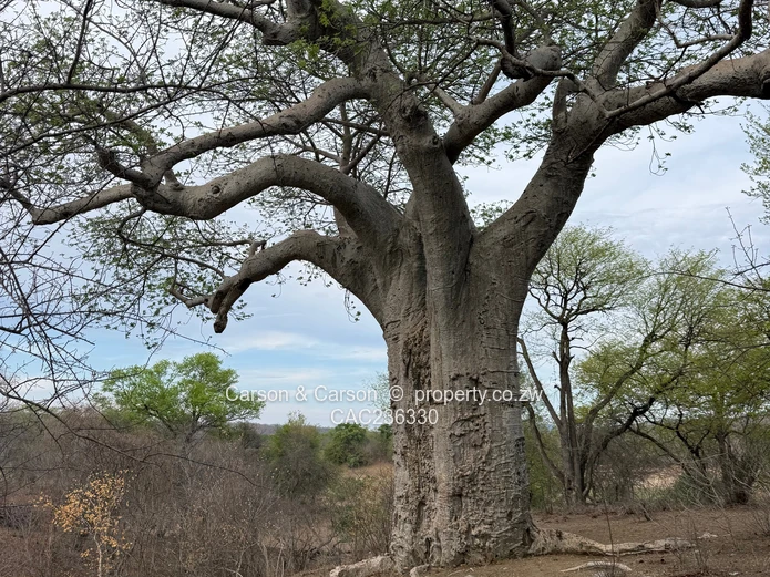 Exclusive: Msuna Island - Kingfisher Guest House