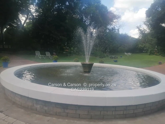 Immediately Available