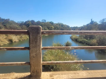 Farm & Agricultural Land