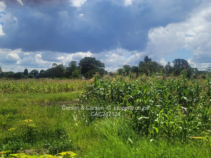 Prime, well established and mature suburb of Chadcombe with massive invetment potential