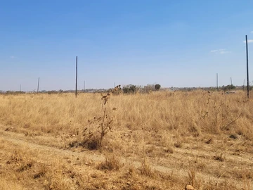 Stands & Residential Land