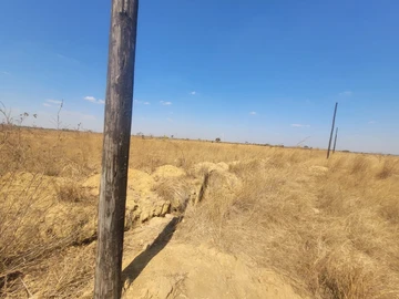 Stands & Residential Land