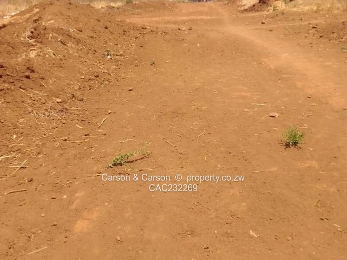 Residential stands for sale grab Christmas specials 