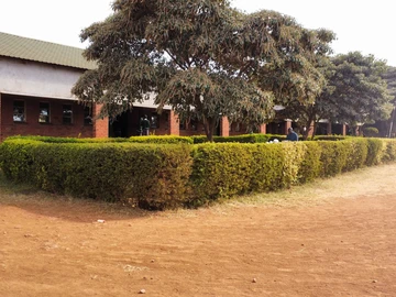 Commercial & Industrial Land