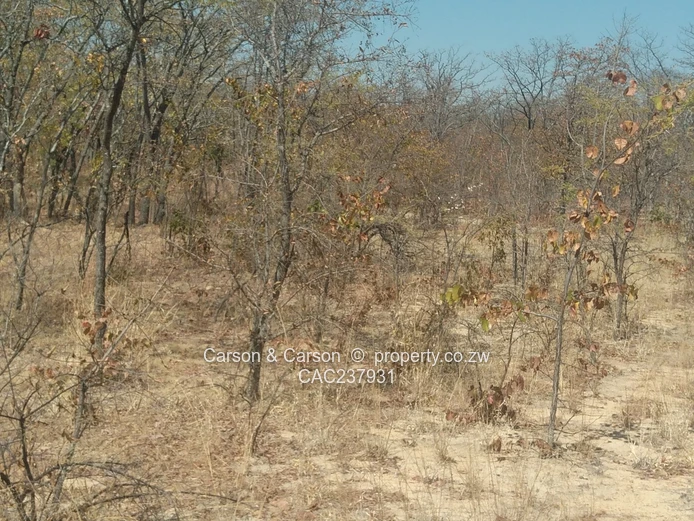 A good opportunity for investment  (Sole Mandate)