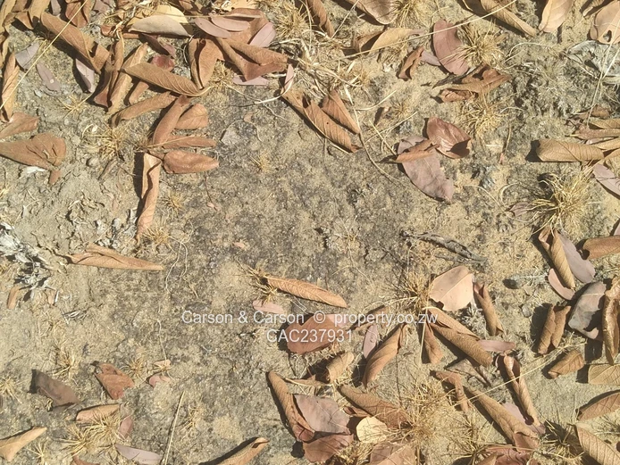 A good opportunity for investment  (Sole Mandate)