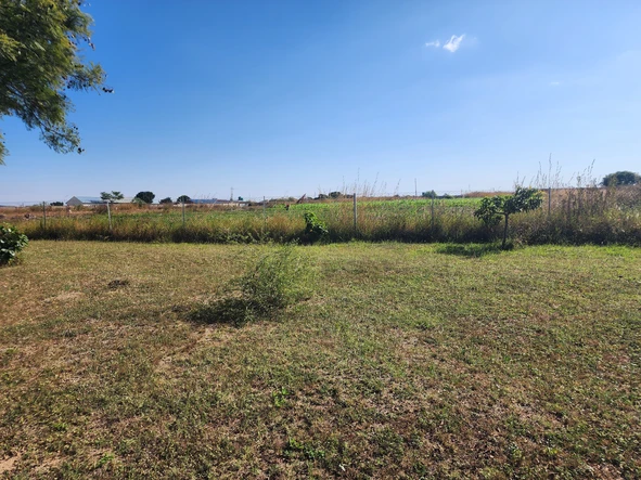 Stands & Residential Land