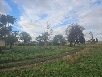 Stands & Residential Land