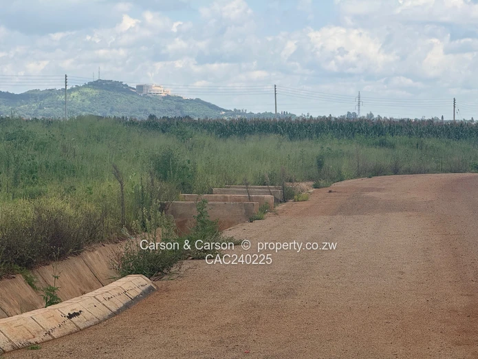 SUBURB In Marlborough With Ultra-modern Houses (Sole Mandate)