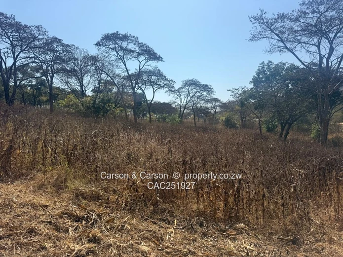Residential stand for sale
