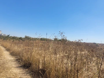 Commercial & Industrial Land