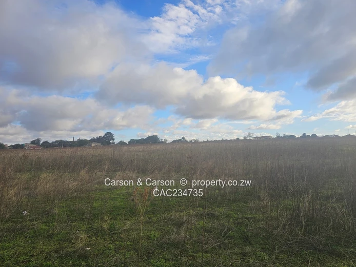 Cluster stands for sale