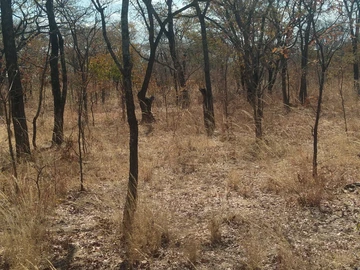 Farm & Agricultural Land