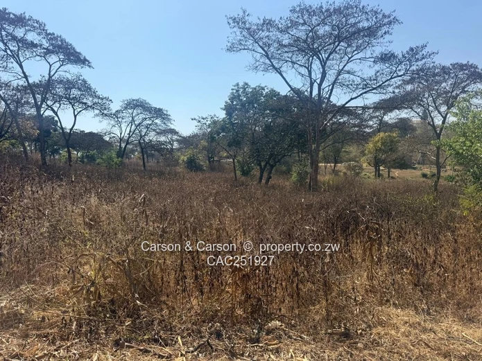 Residential stand for sale