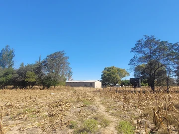 Farm & Agricultural Land
