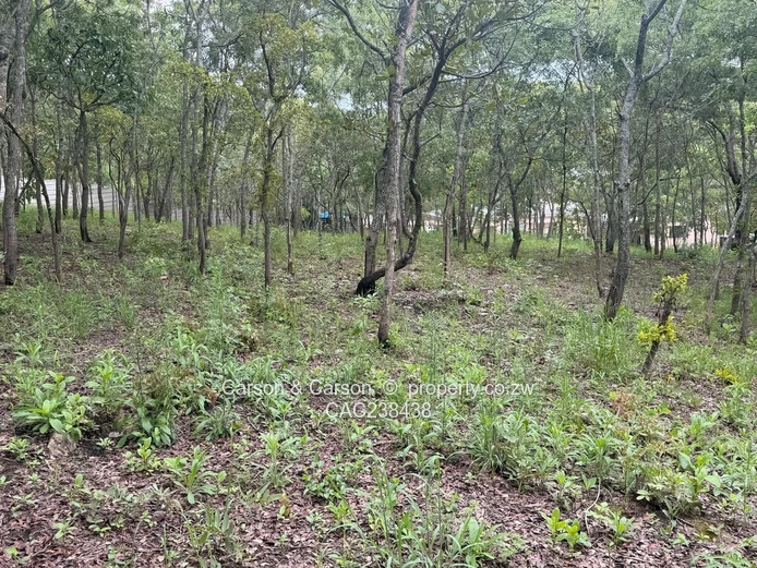 Vacant residential stand for sale in Umwinsidale  (Sole Mandate)