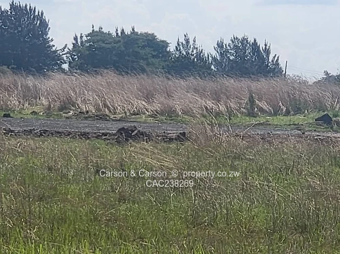 Goodhope vacant stand