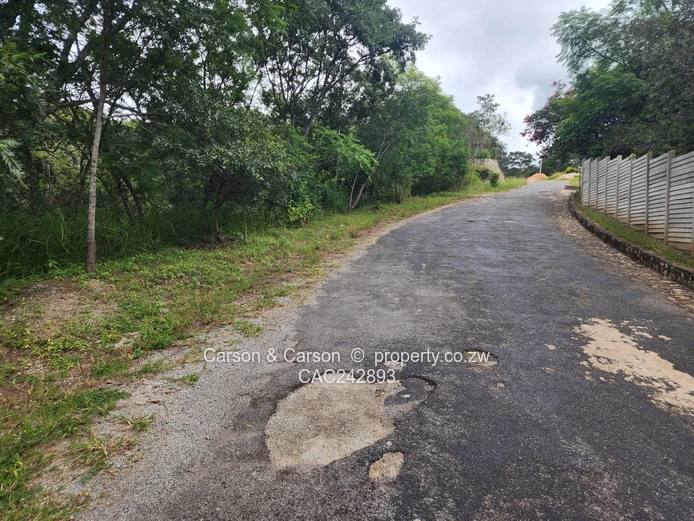 Chisipite 5500m² — Tree-Lined Stand with Tarred Main Road Frontage