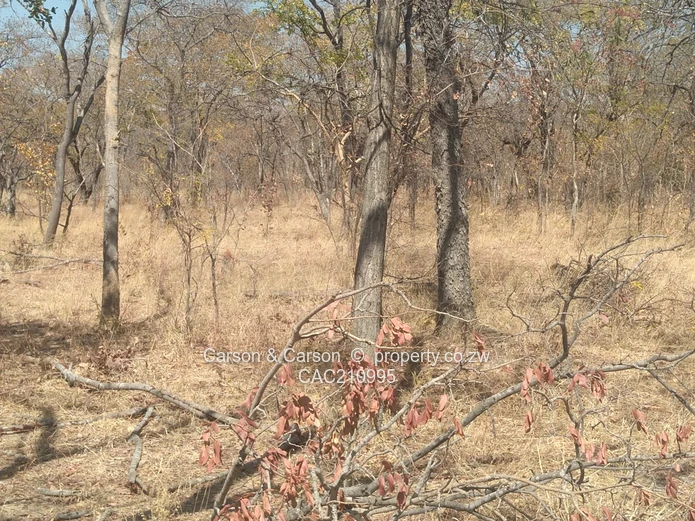 15Ha Farm & Agricultural Land in Mhondoro Ngezi with ZESA (Sole Mandate)