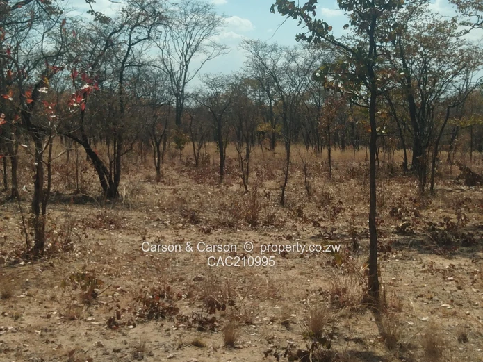 15Ha Farm & Agricultural Land in Mhondoro Ngezi with ZESA (Sole Mandate)