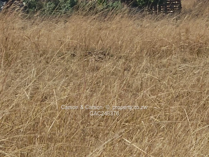 10ha Nyabira Arable Farm — Golden Grassland with Road Access