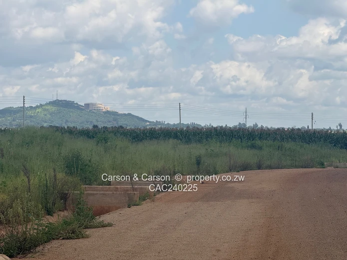 SUBURB In Marlborough With Ultra-modern Houses (Sole Mandate)