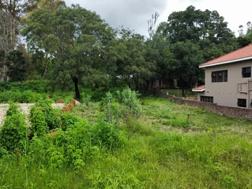 Stands & Residential Land