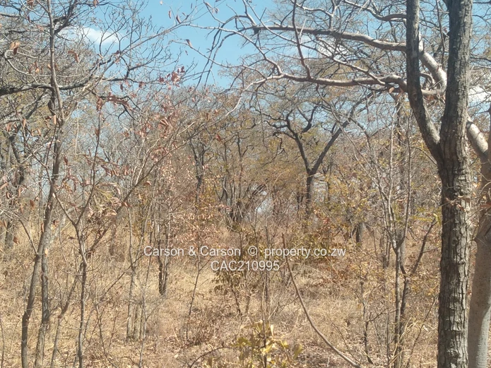 15Ha Farm & Agricultural Land in Mhondoro Ngezi with ZESA (Sole Mandate)