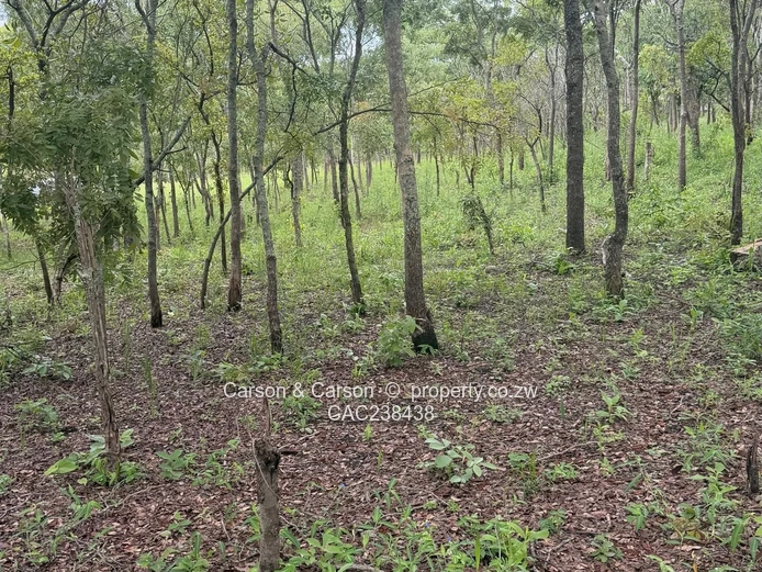 Vacant residential stand for sale in Umwinsidale  (Sole Mandate)