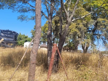 Farm & Agricultural Land