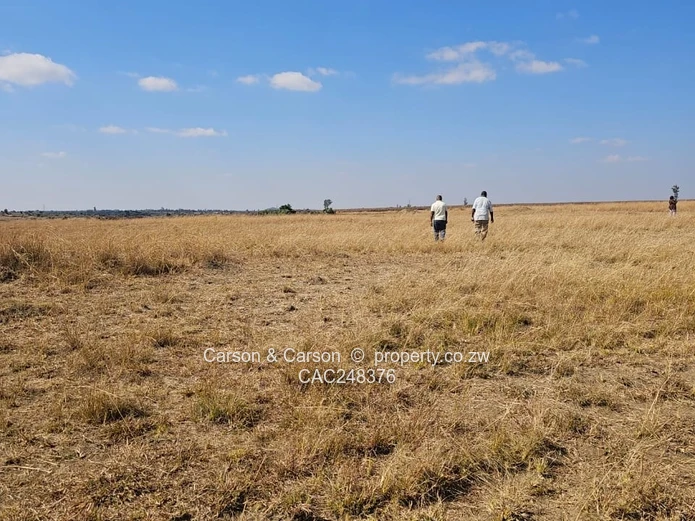 10ha Nyabira Arable Farm — Golden Grassland with Road Access
