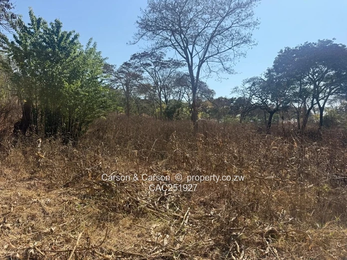 Residential stand for sale