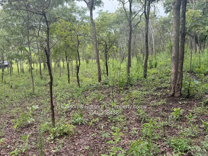 Vacant residential stand for sale in Umwinsidale  (Sole Mandate)