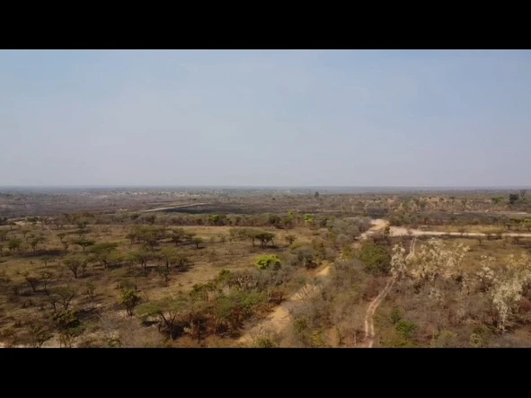 Farm & Agricultural Land