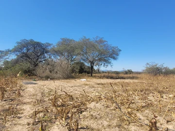 Farm & Agricultural Land