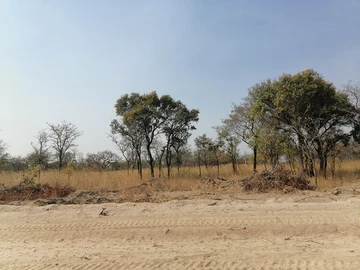 13.6 Hectares up to 15.6 Hectares Split-Level Farm & Agri Land For Sale in Beatrice, Zimbabwe