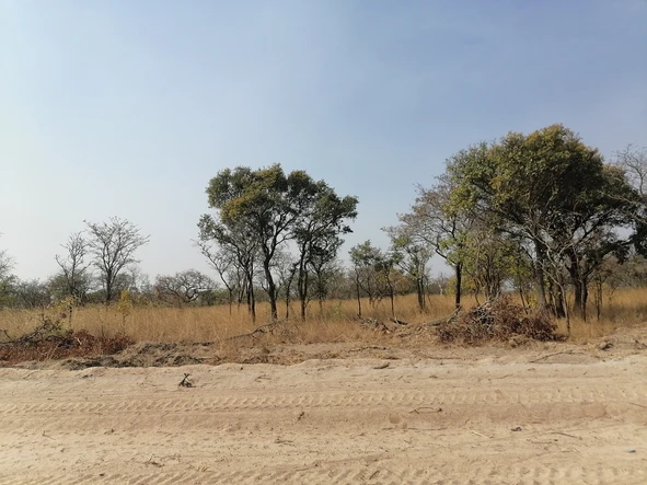 Farm & Agricultural Land