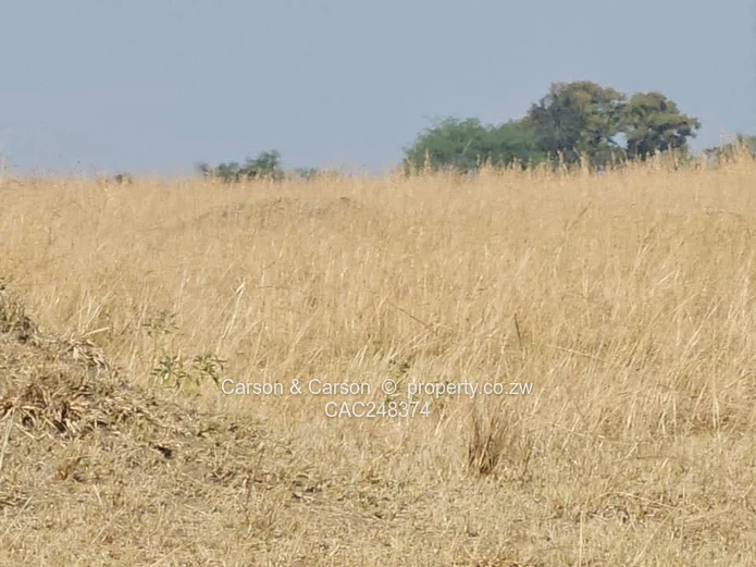 10ha Nyabira Farm - Open Dry-Grass Veld, Subdivision Potential