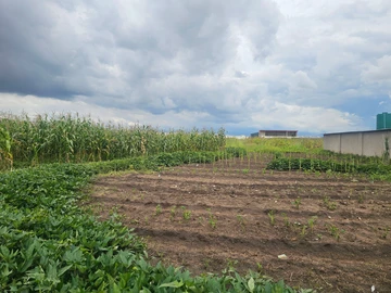 Commercial & Industrial Land