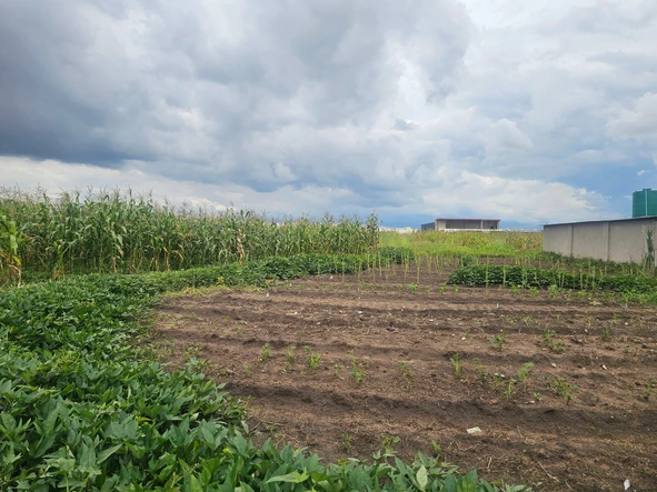 Commercial & Industrial Land