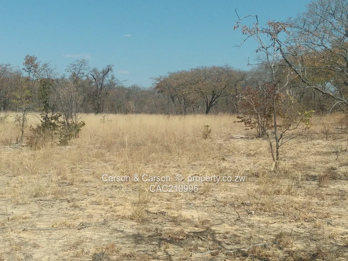 15Ha Farm & Agricultural Land in Mhondoro Ngezi with ZESA (Sole Mandate)