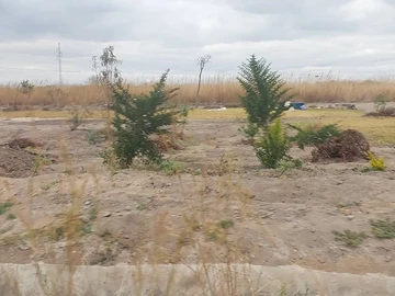 Stands & Residential Land